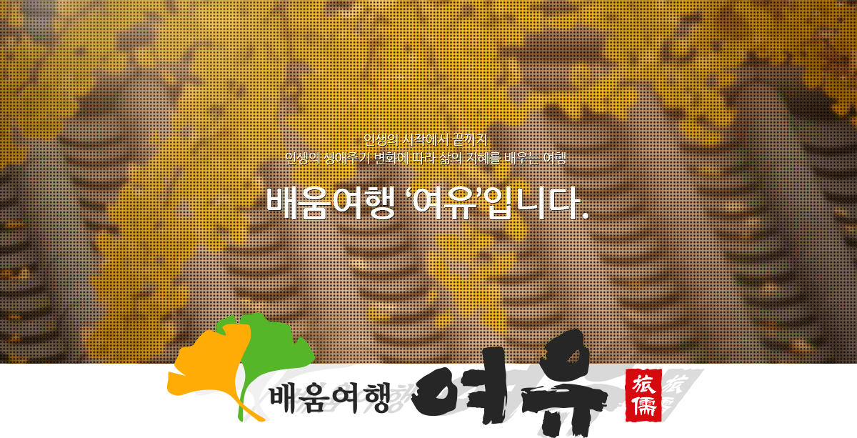 사단법인한국관광학회 홈페이지제작