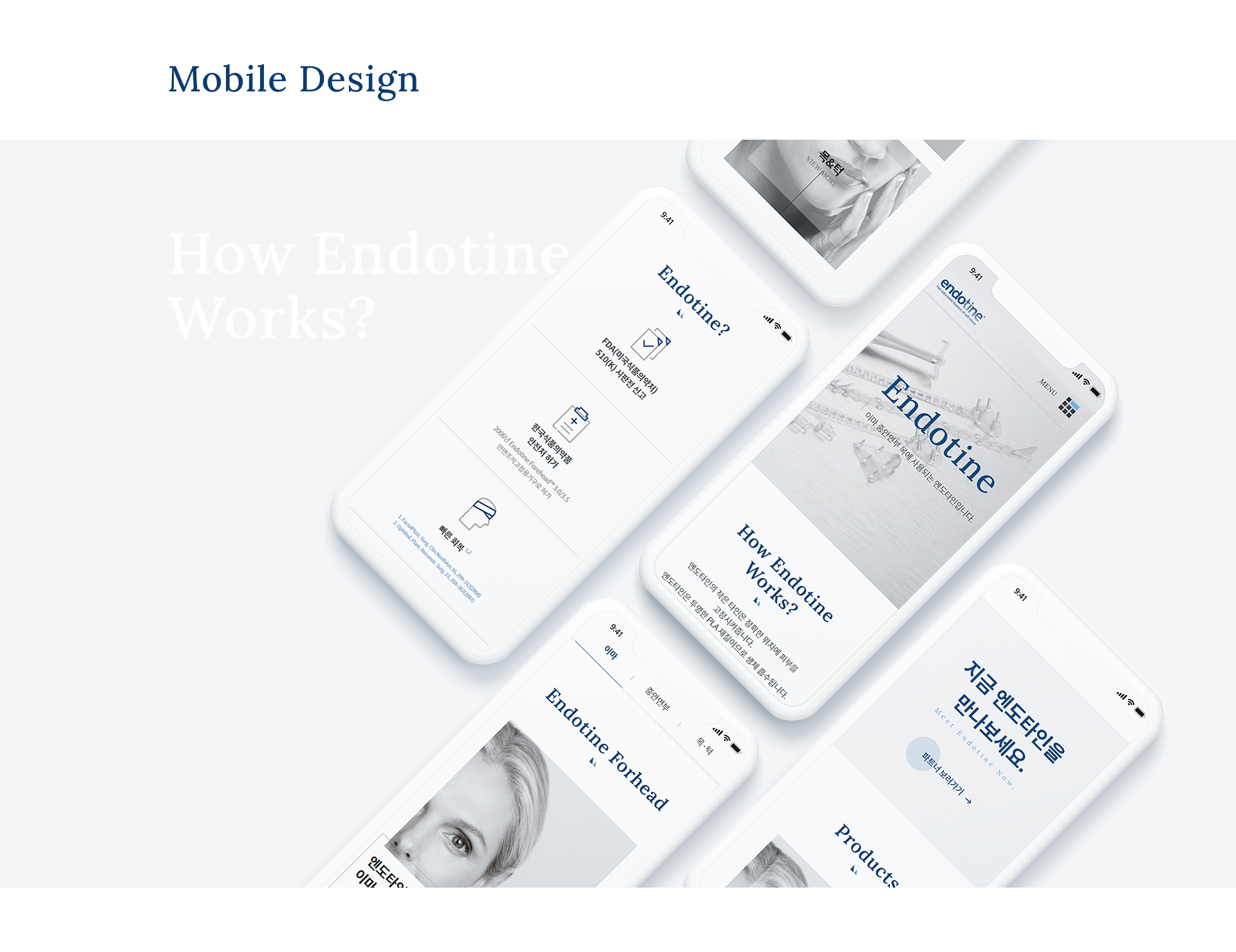 티알엠코리아 홈페이지제작업체