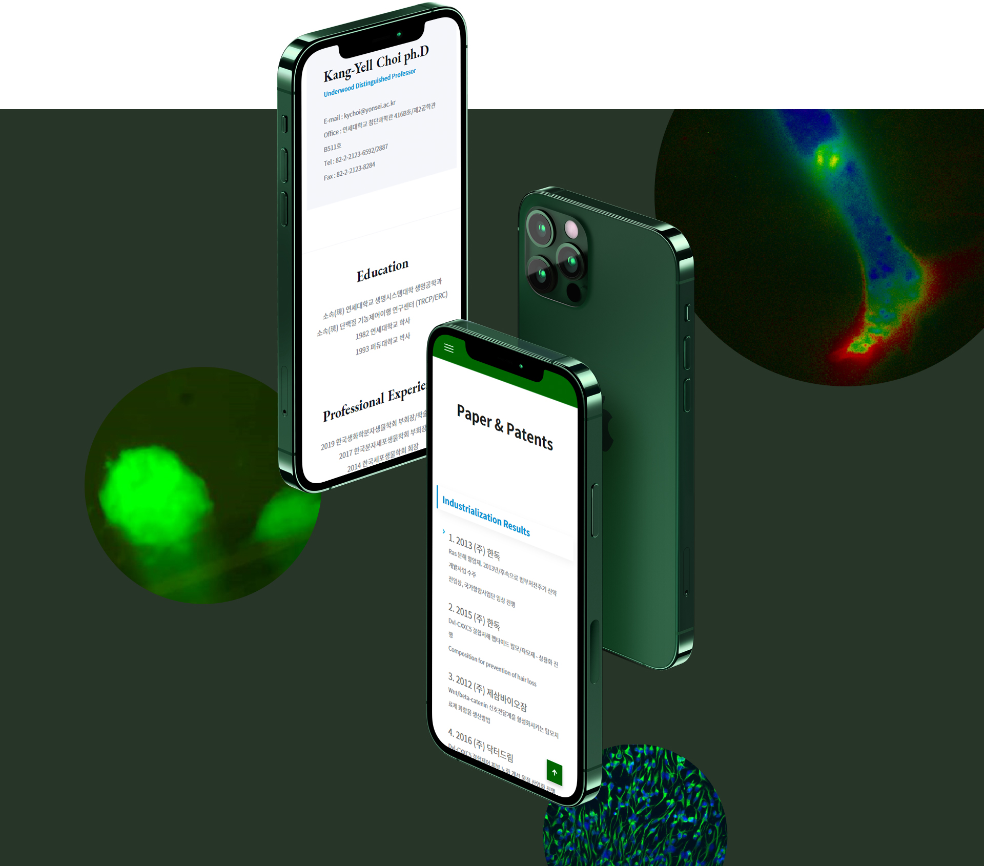 연세대학교최강열연구실 사이트제작