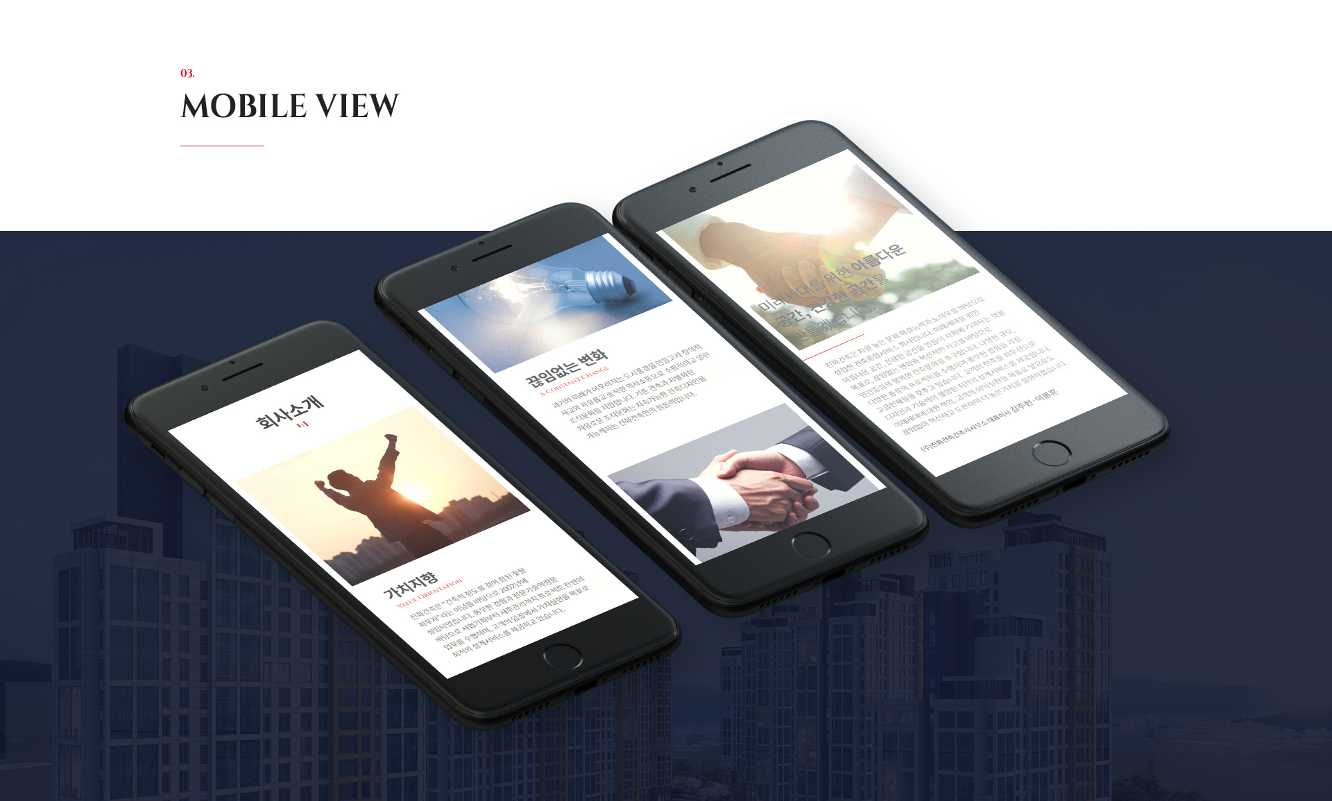 진화건축건축사사무소 사이트제작