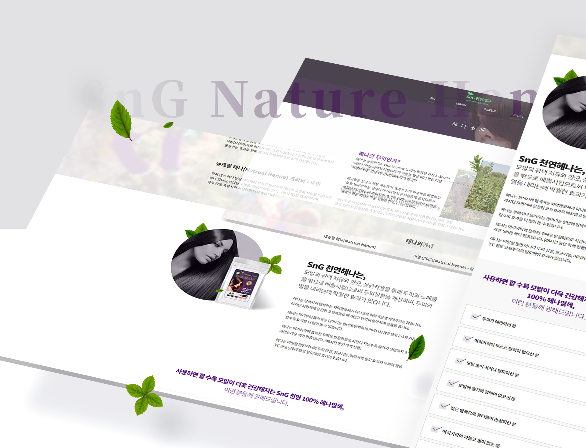 에스엔지헤나 홈페이지제작비용