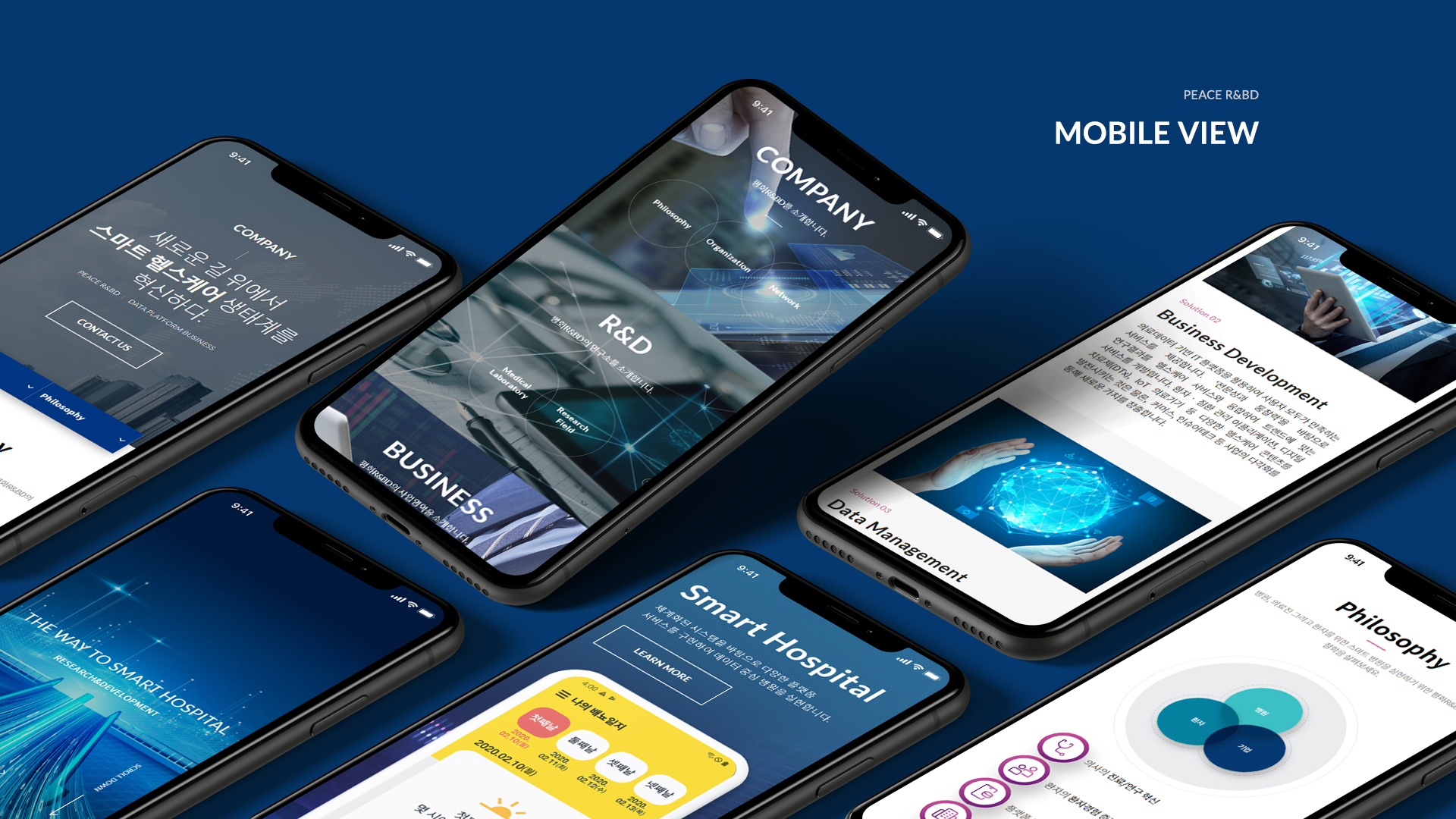 평화R&BD 홈페이지제작