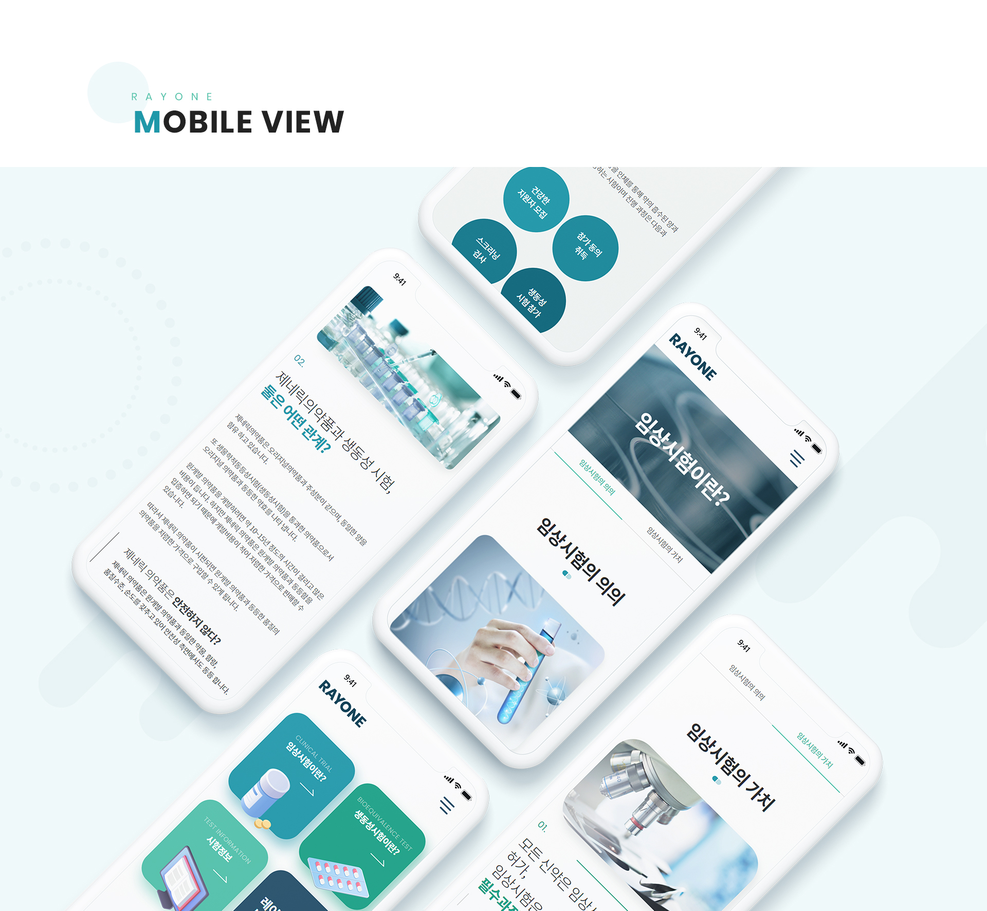 레이원 사이트제작