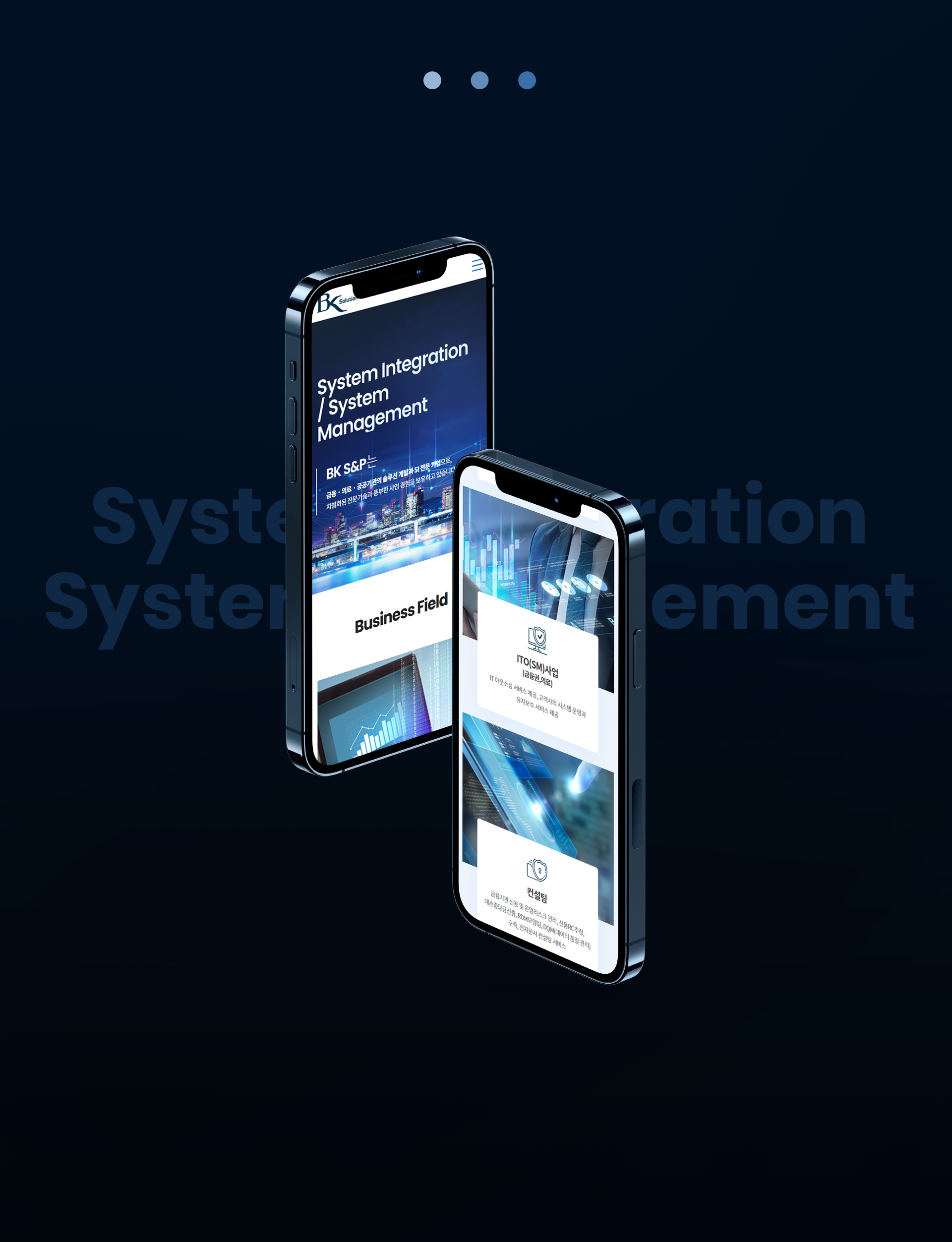 con03.jpg ㈜비케이에스엔피 사이트제작