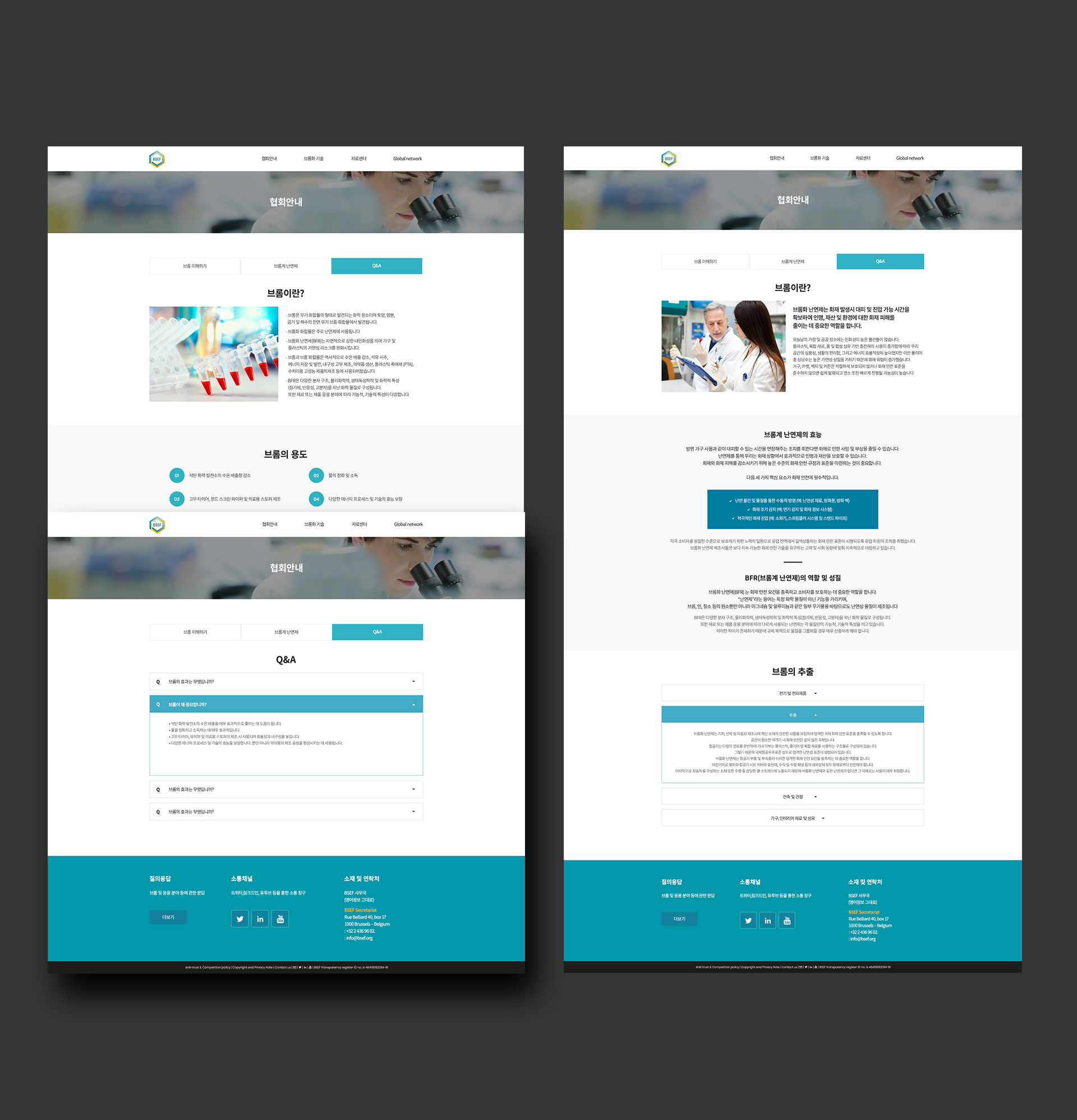 BSEF 사이트제작