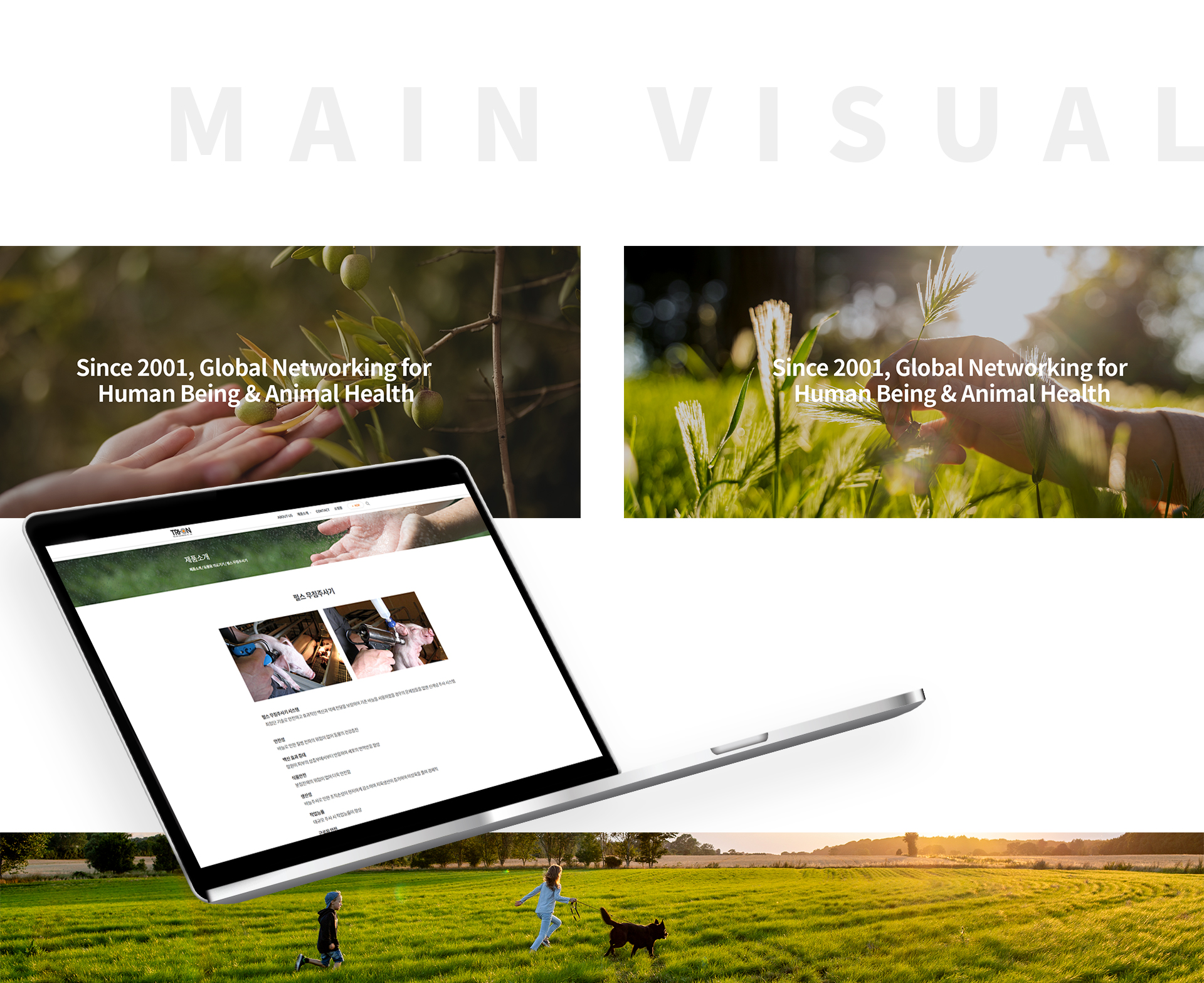 트리언인터내셔널 홈페이지제작