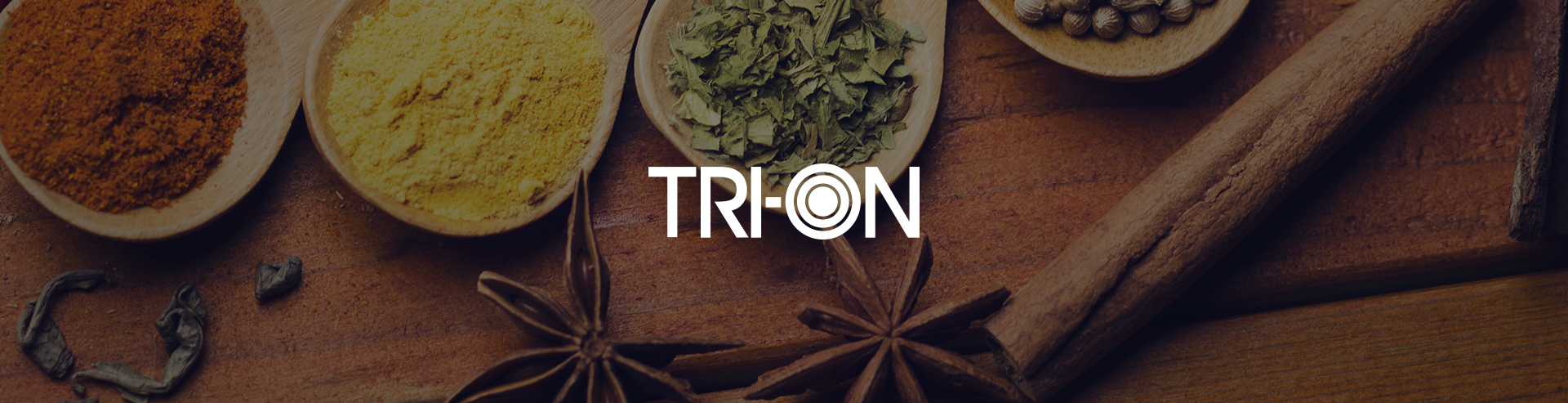 트리언인터내셔널 홈페이지개발