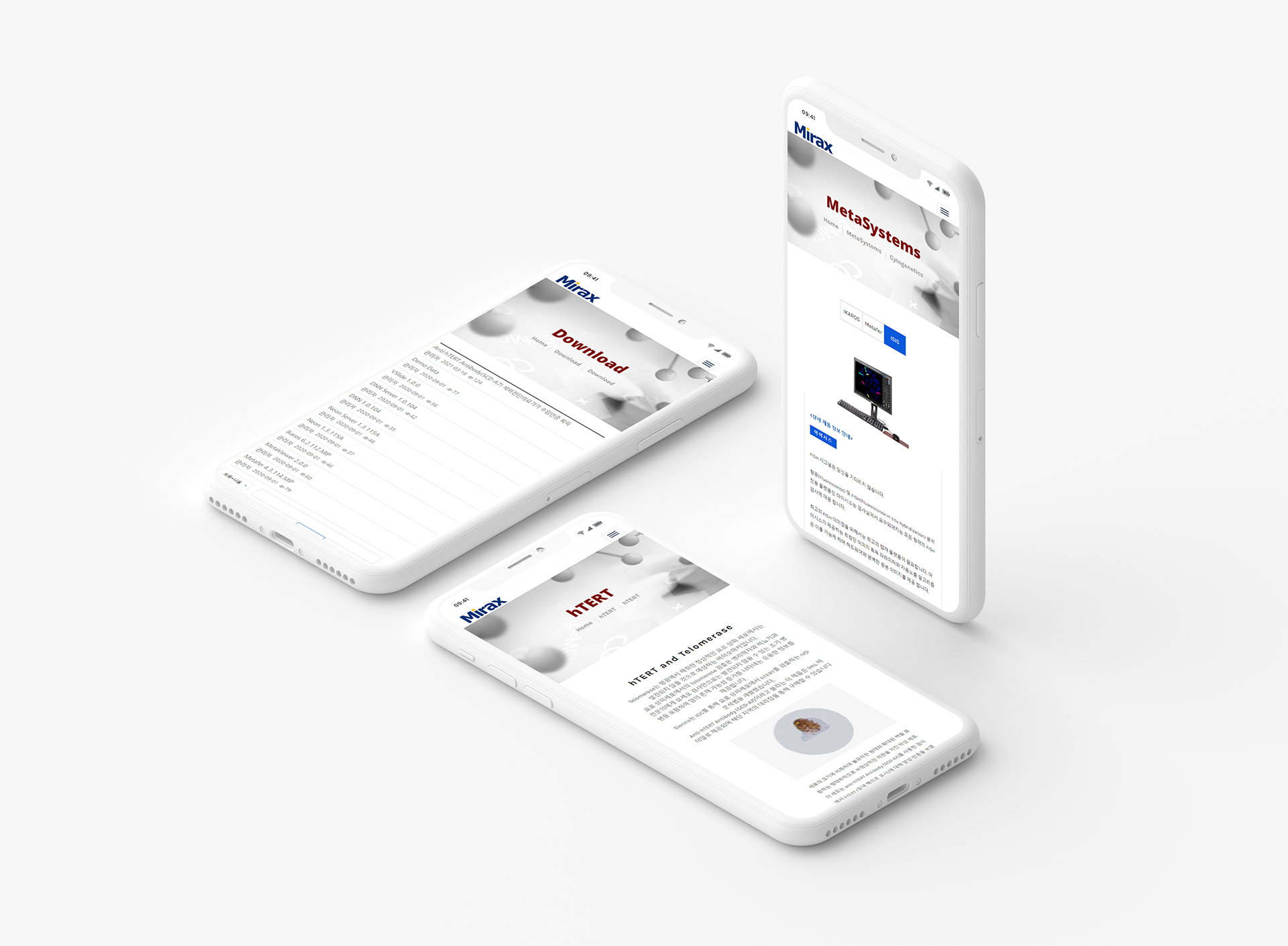 미락스 웹페이지제작