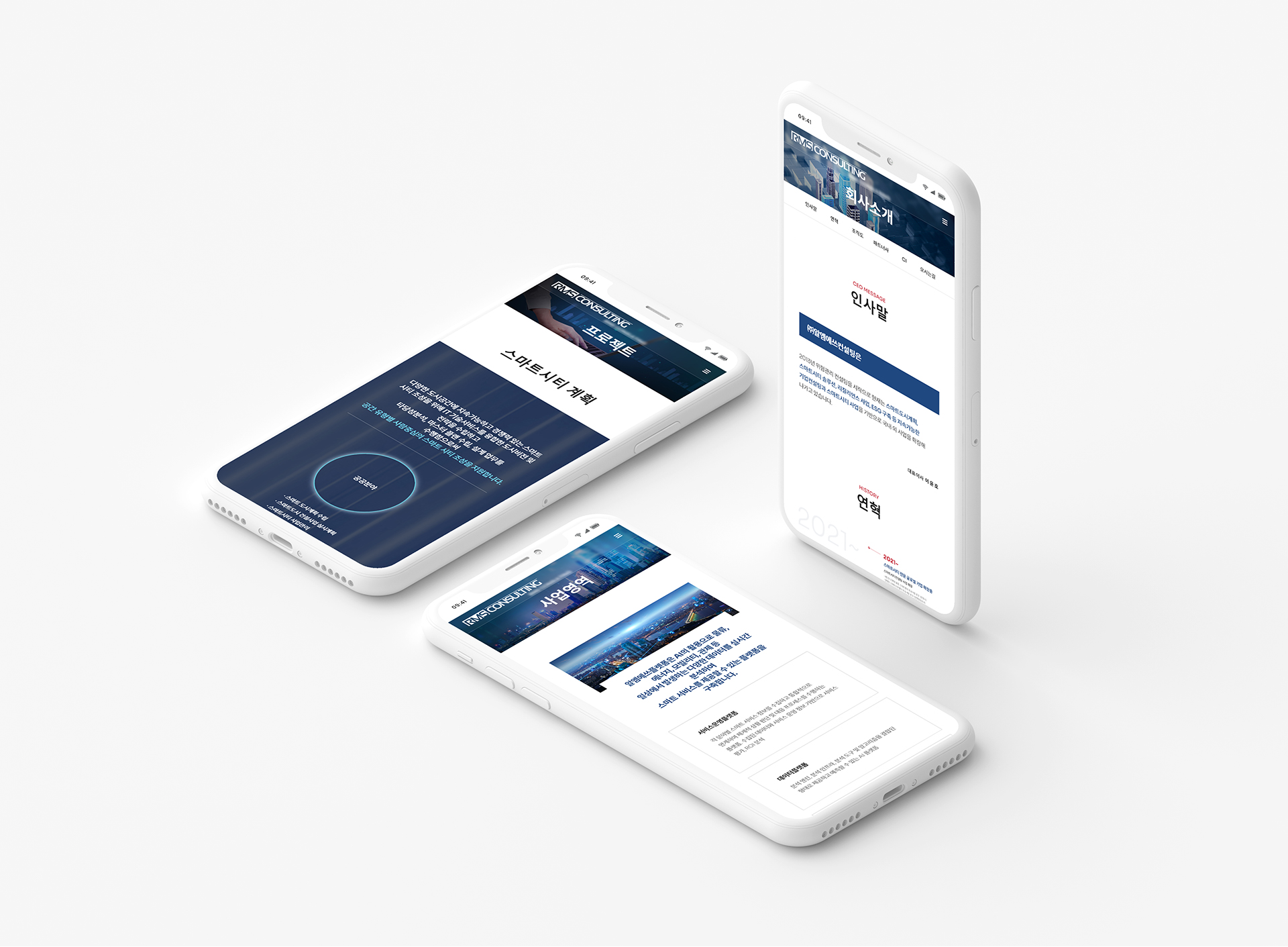 rms컨설팅 웹페이지제작