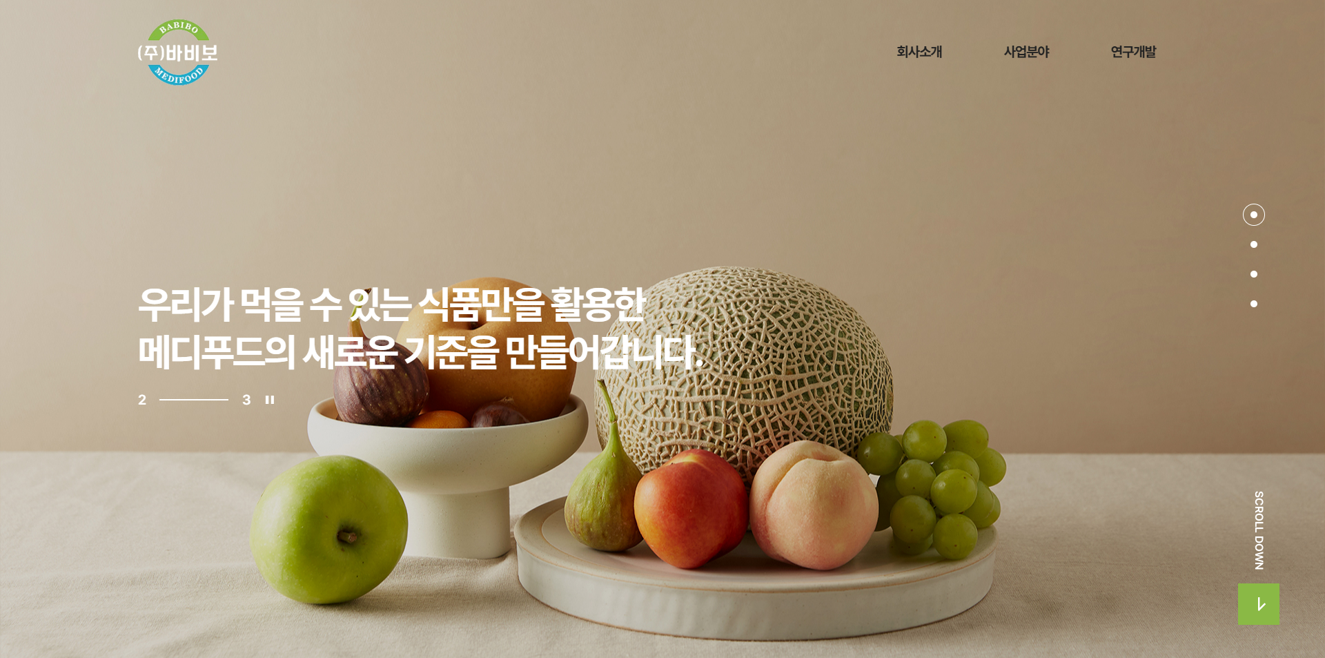 바비보 메디푸드 기업 반응형 홈페이지 개발 프로젝트 소개 이미지