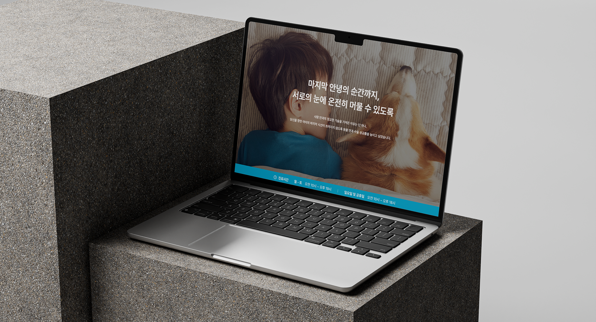 진료 시간 예약 상담 길찾기 플로팅 버튼 웹사이트 UX UI 최적화