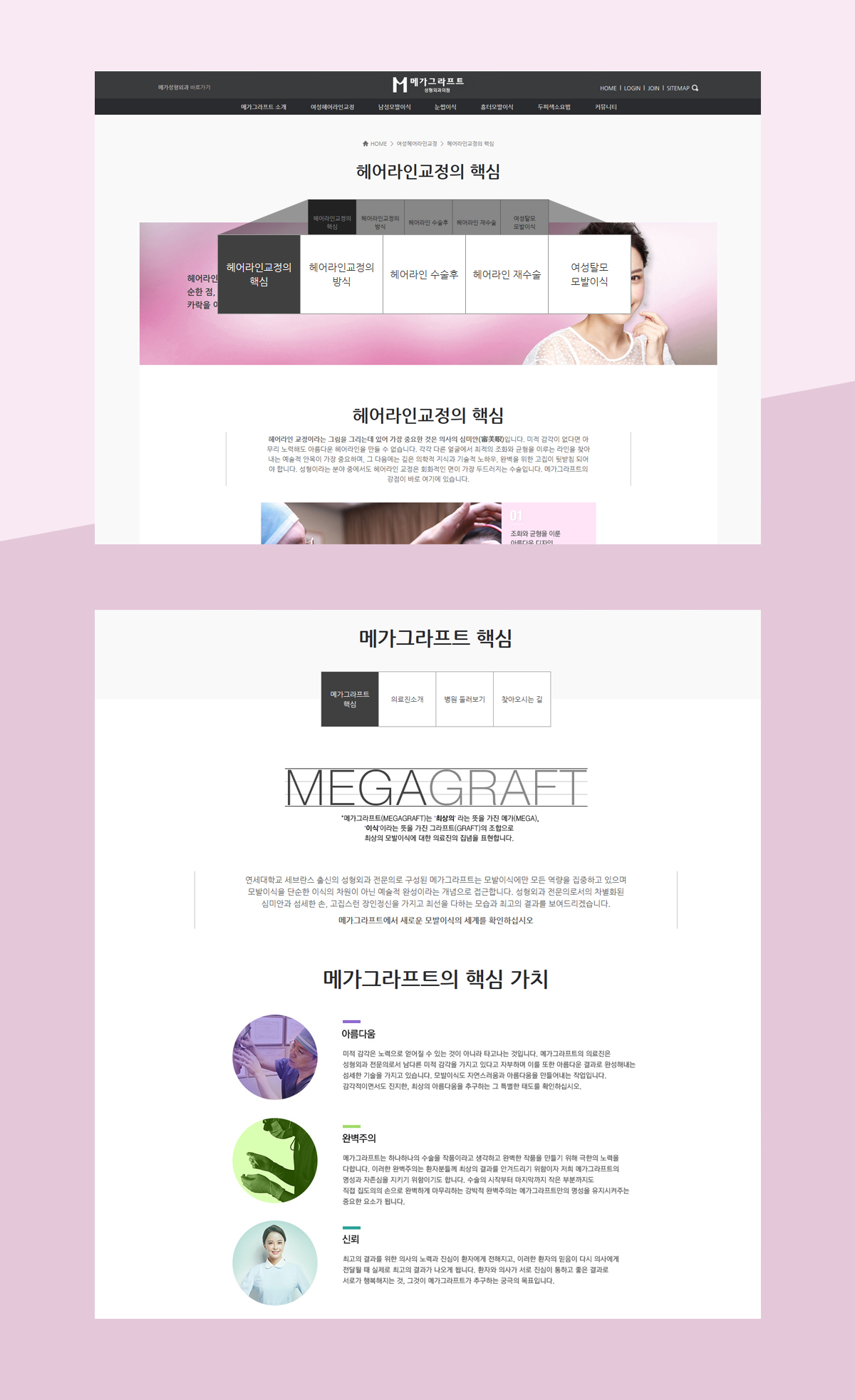 메가그라프트 홈페이지