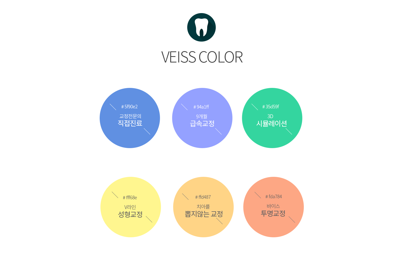 바이스치과 병원사이트제작