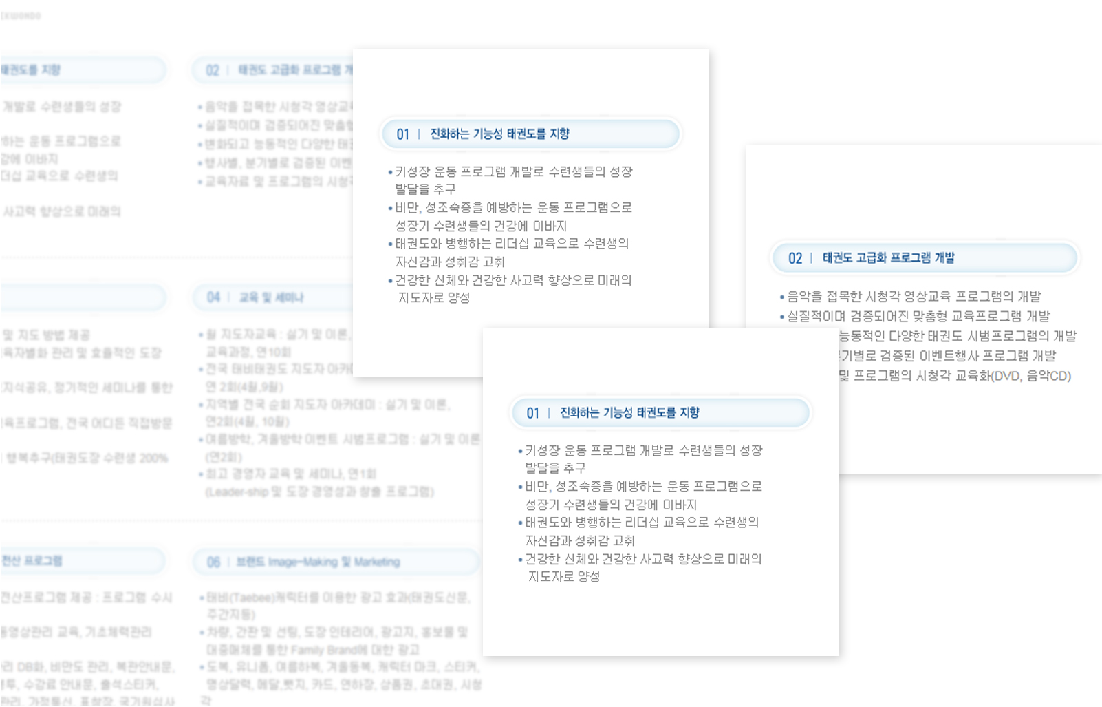 태비태권도 본부 웹사이트제작
