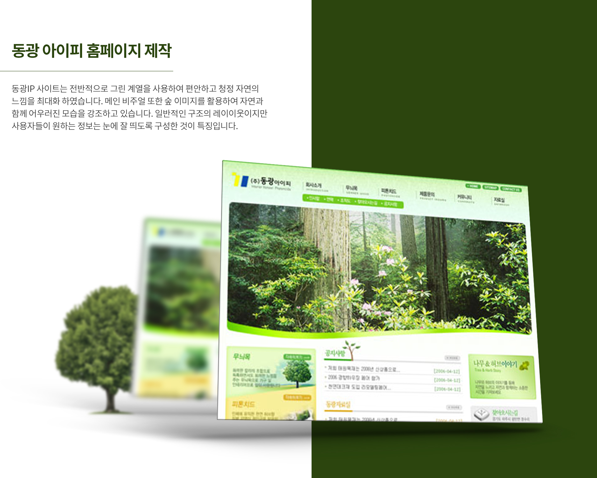 동광IP 웹사이트제작