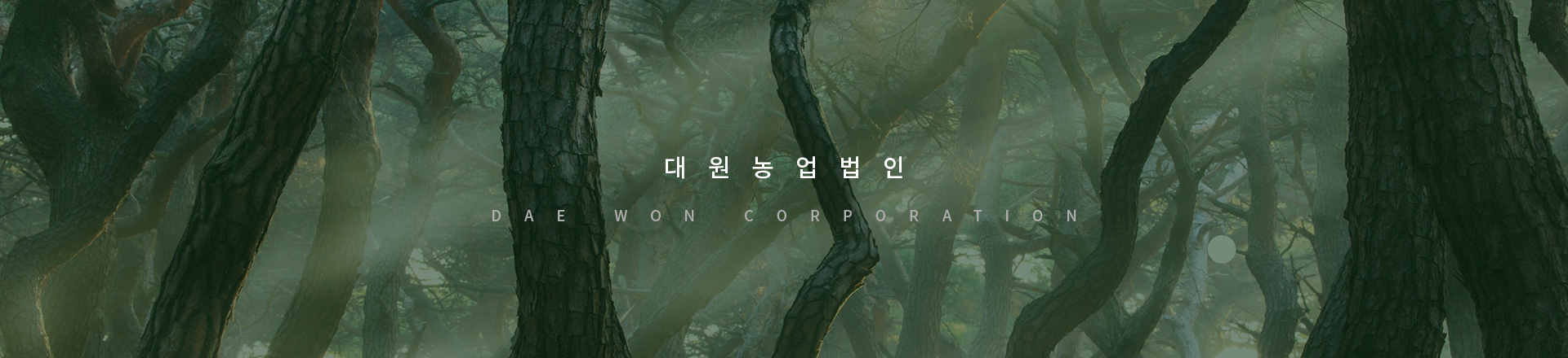 농업법인대원 웹사이트제작