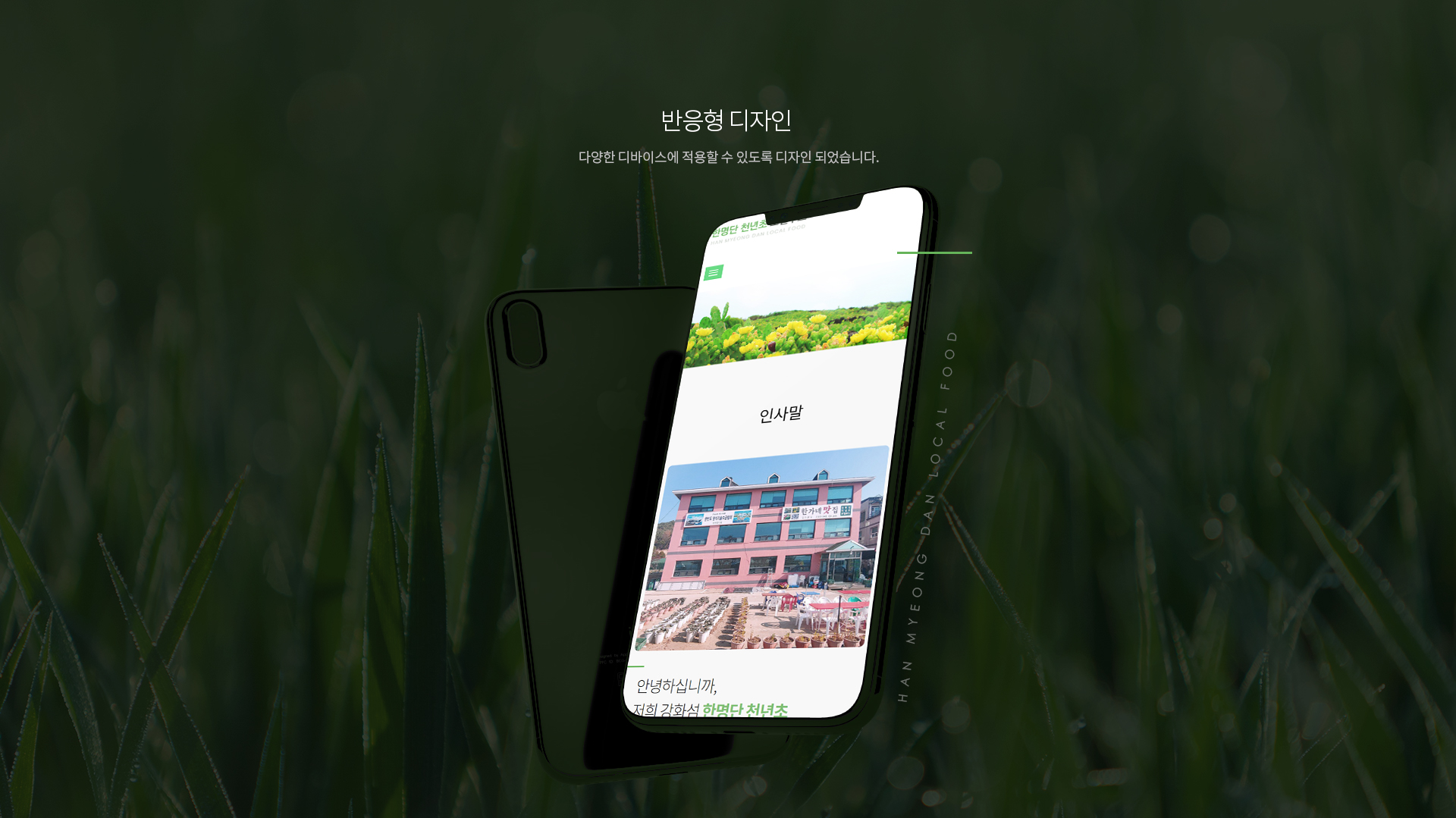 한명단천년초로컬푸드 웹페이지제작