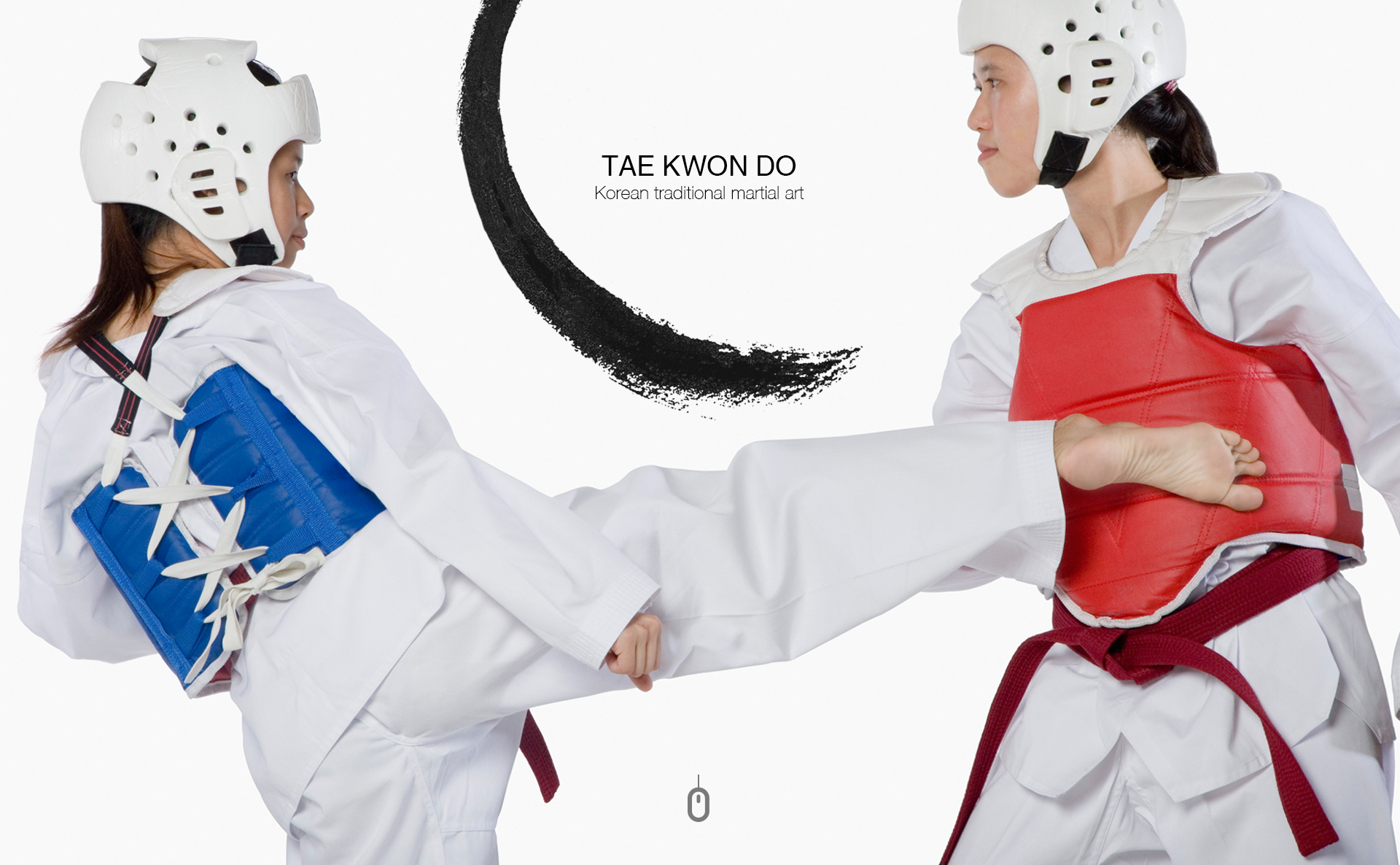 태비태권도 홈페이지제작