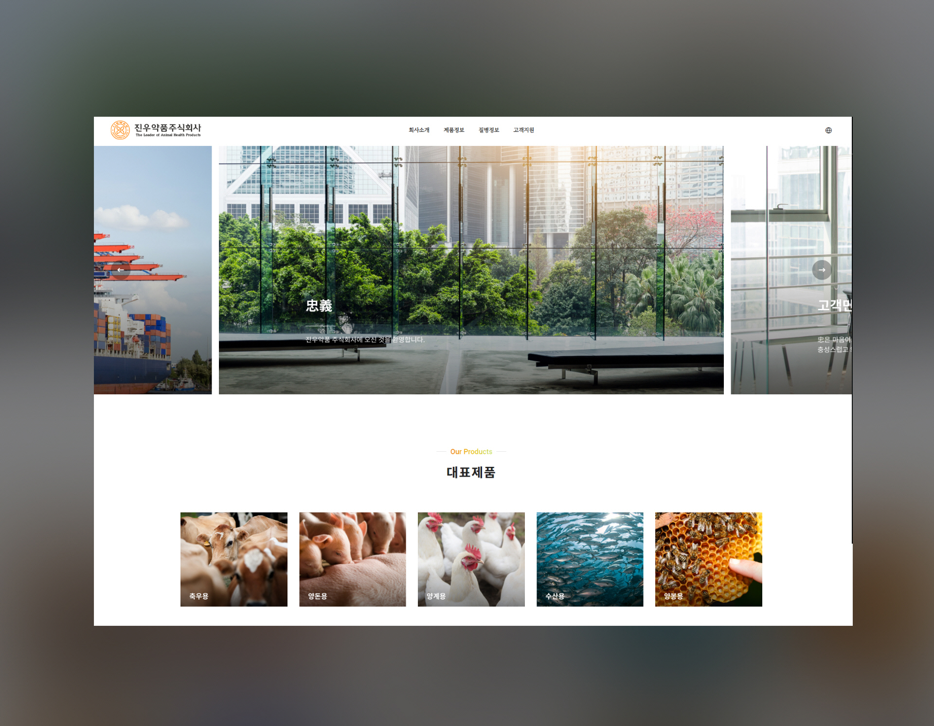 진우약품 홈페이지제작