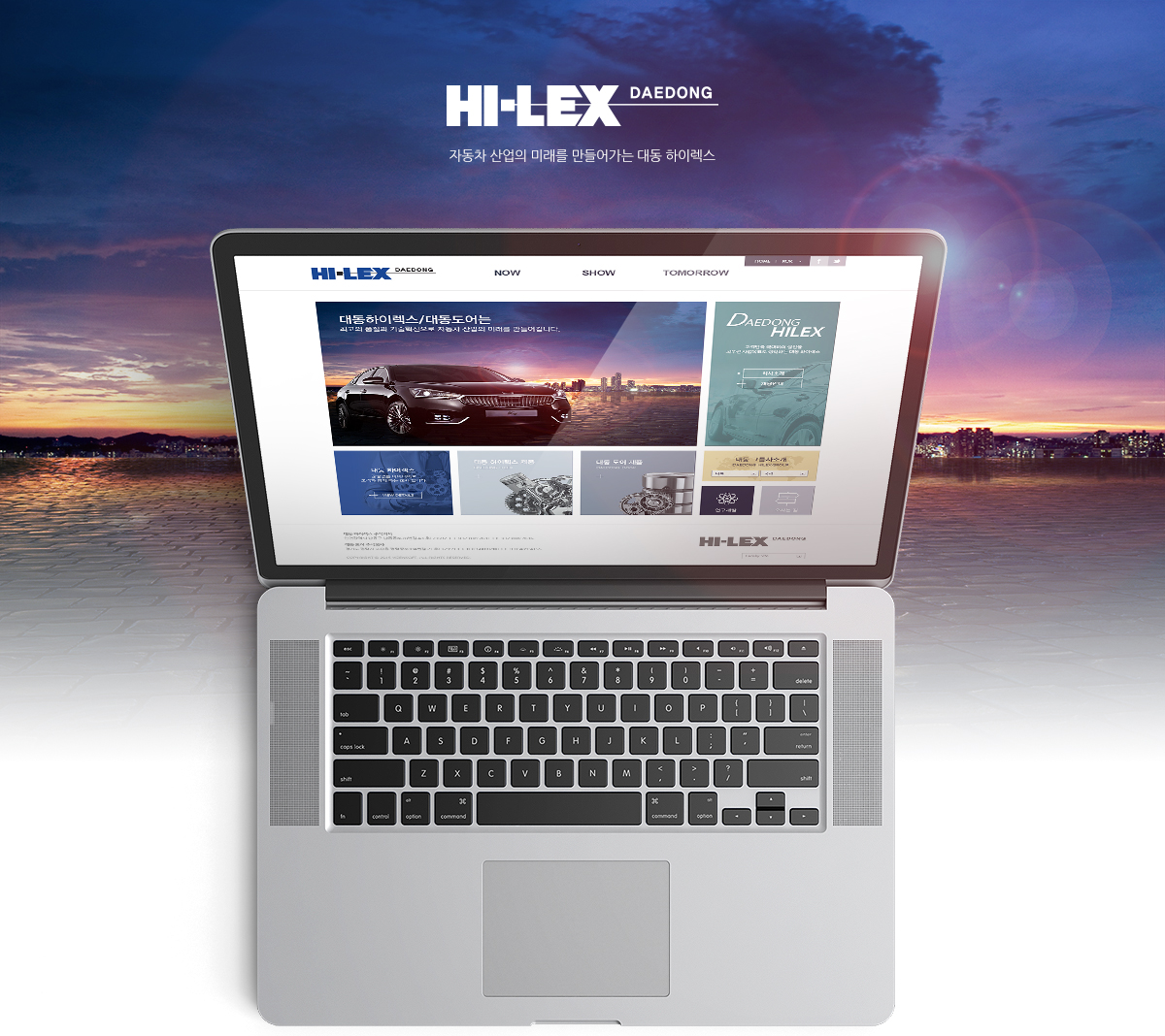 대동하이렉스 홈페이지제작