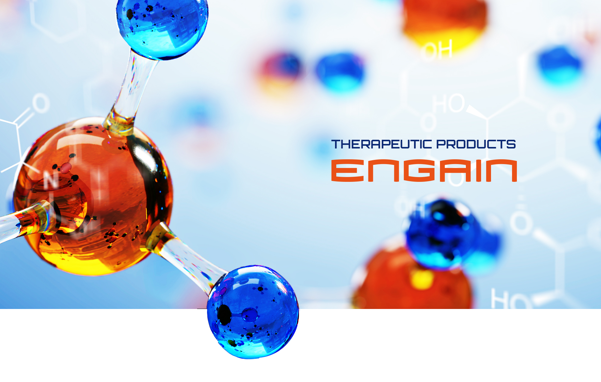 엔게인 홈페이지제작