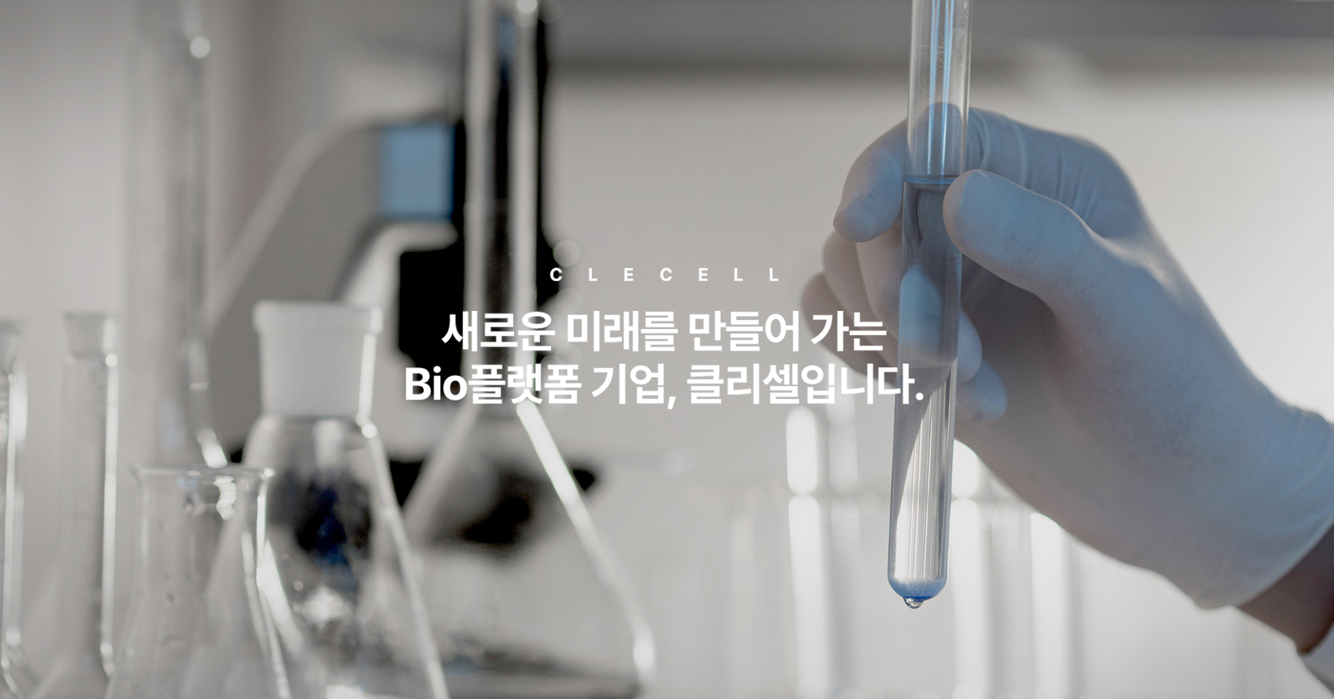 클리셀 홈페이지제작