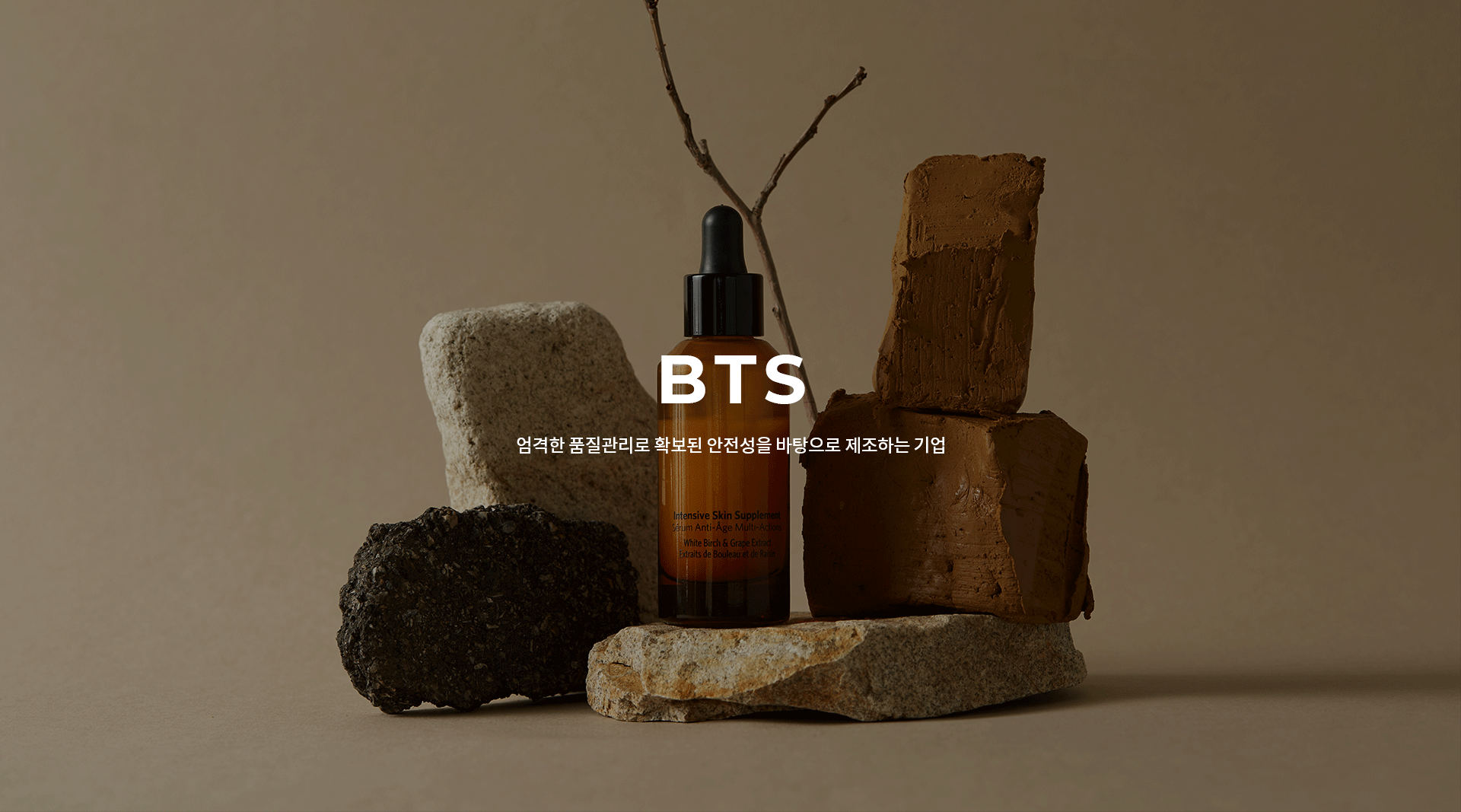 비티에스 홈페이지제작