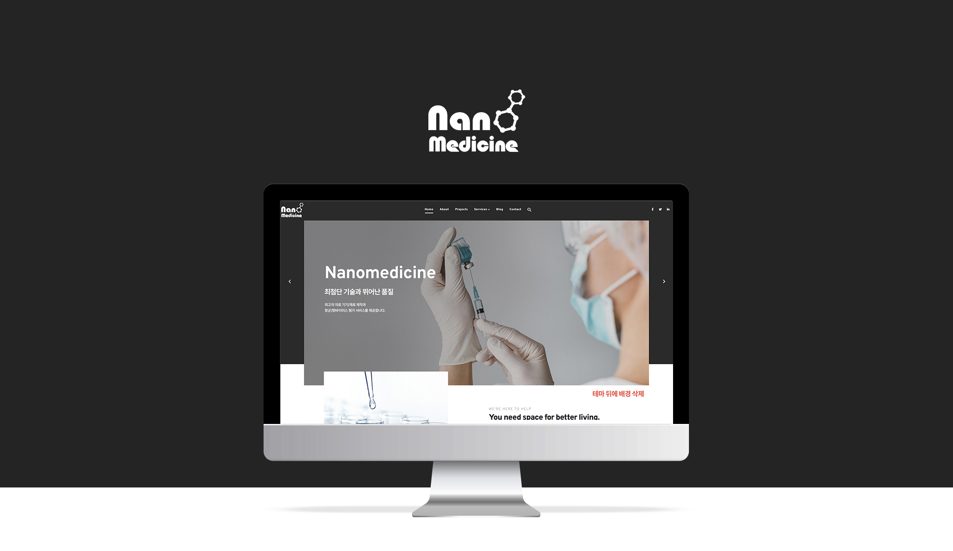 나노메디신 홈페이지제작