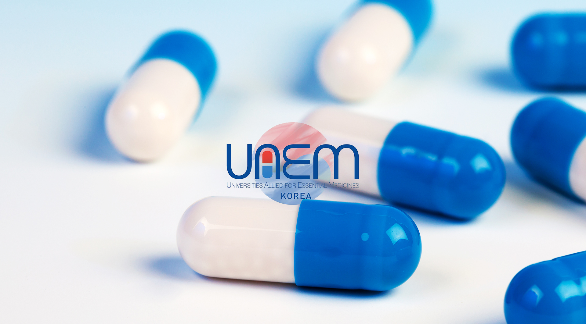 UAEM_ korea 홈페이지제작