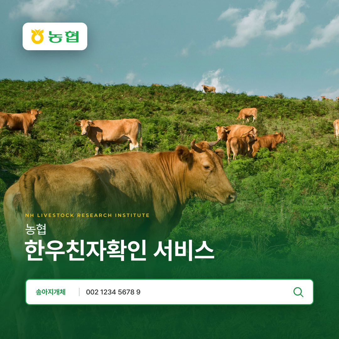 농협축산연구원 반응형 한우친자확인 웹프로그램제작