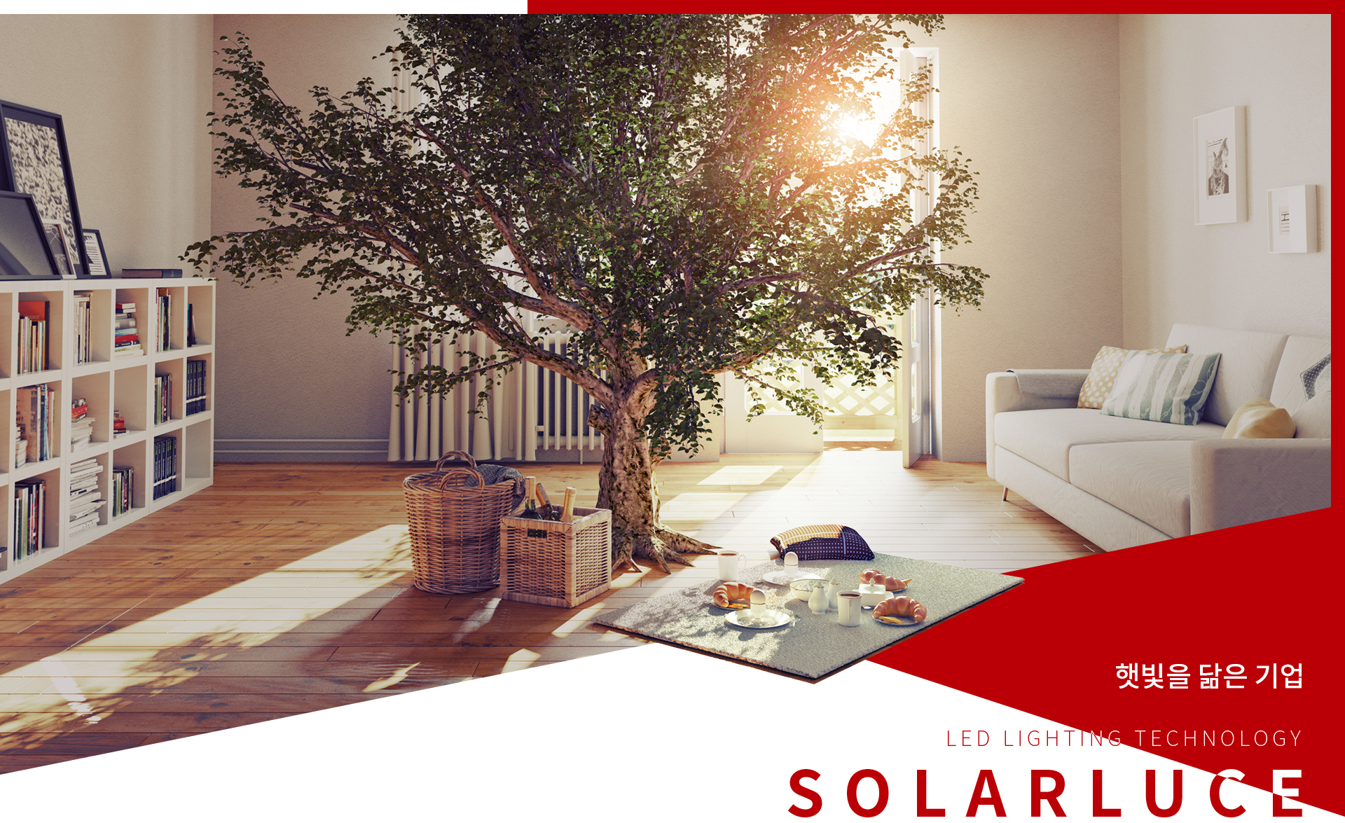 솔라루체 홈페이지제작