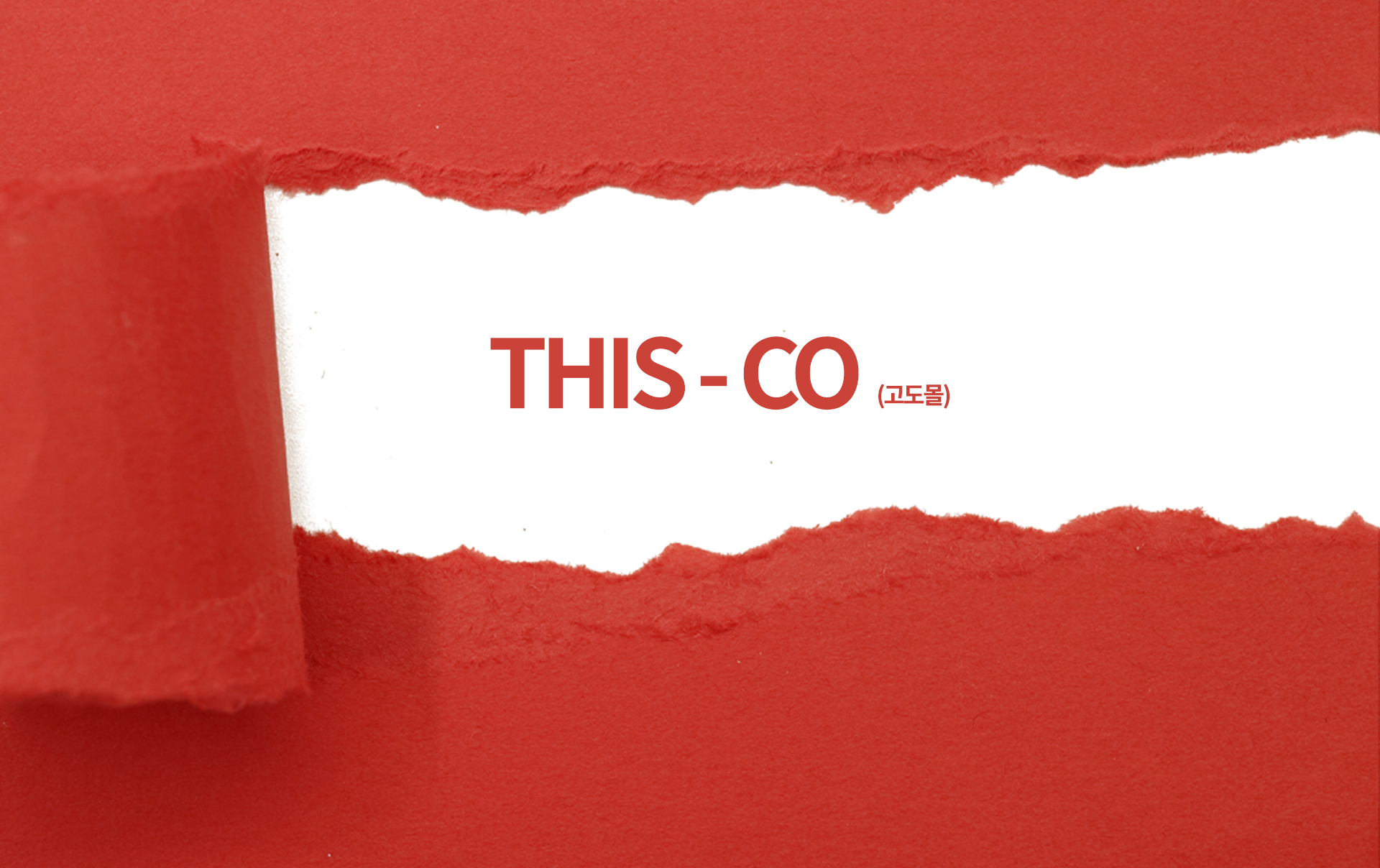 디스코몰 쇼핑몰제작