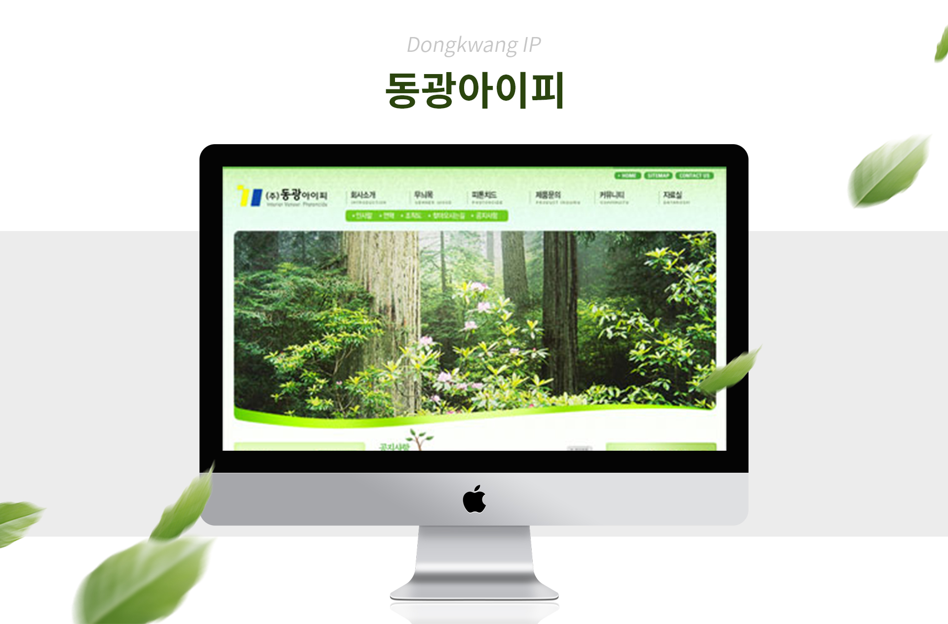 동광IP 홈페이지제작