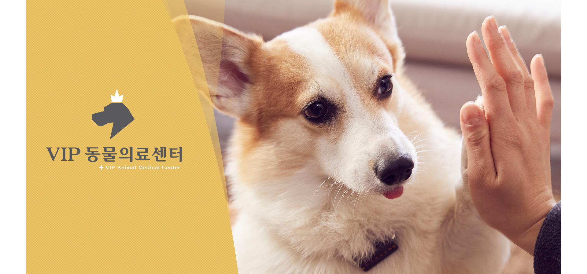 VIP동물의료센터 모바일홈페이지제작