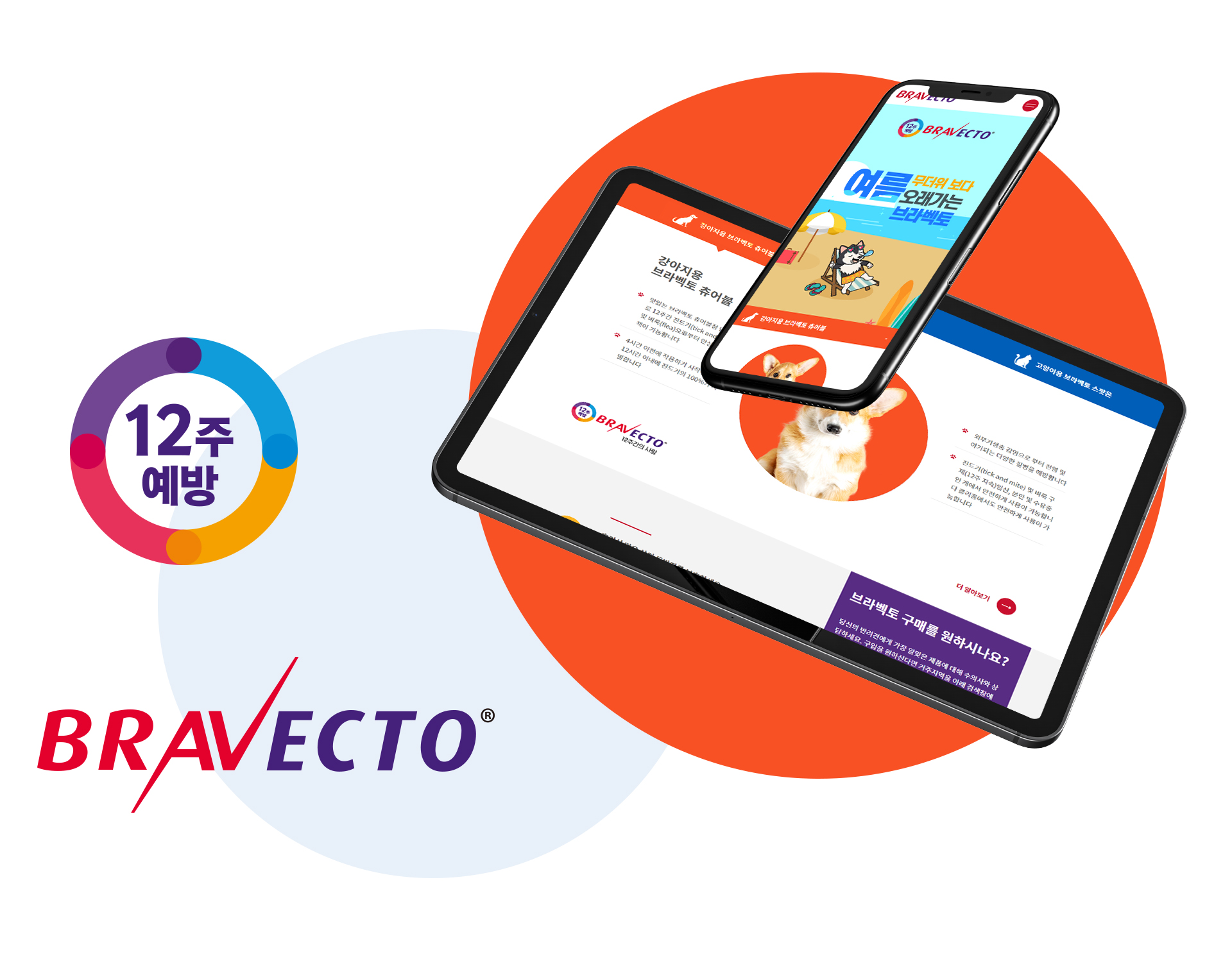 브라벡토 홈페이지제작