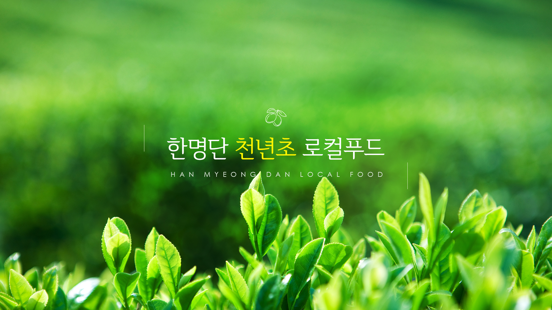 한명단천년초로컬푸드 홈페이지제작