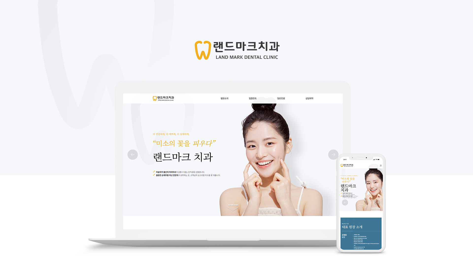 랜드마크치과 홈페이지제작
