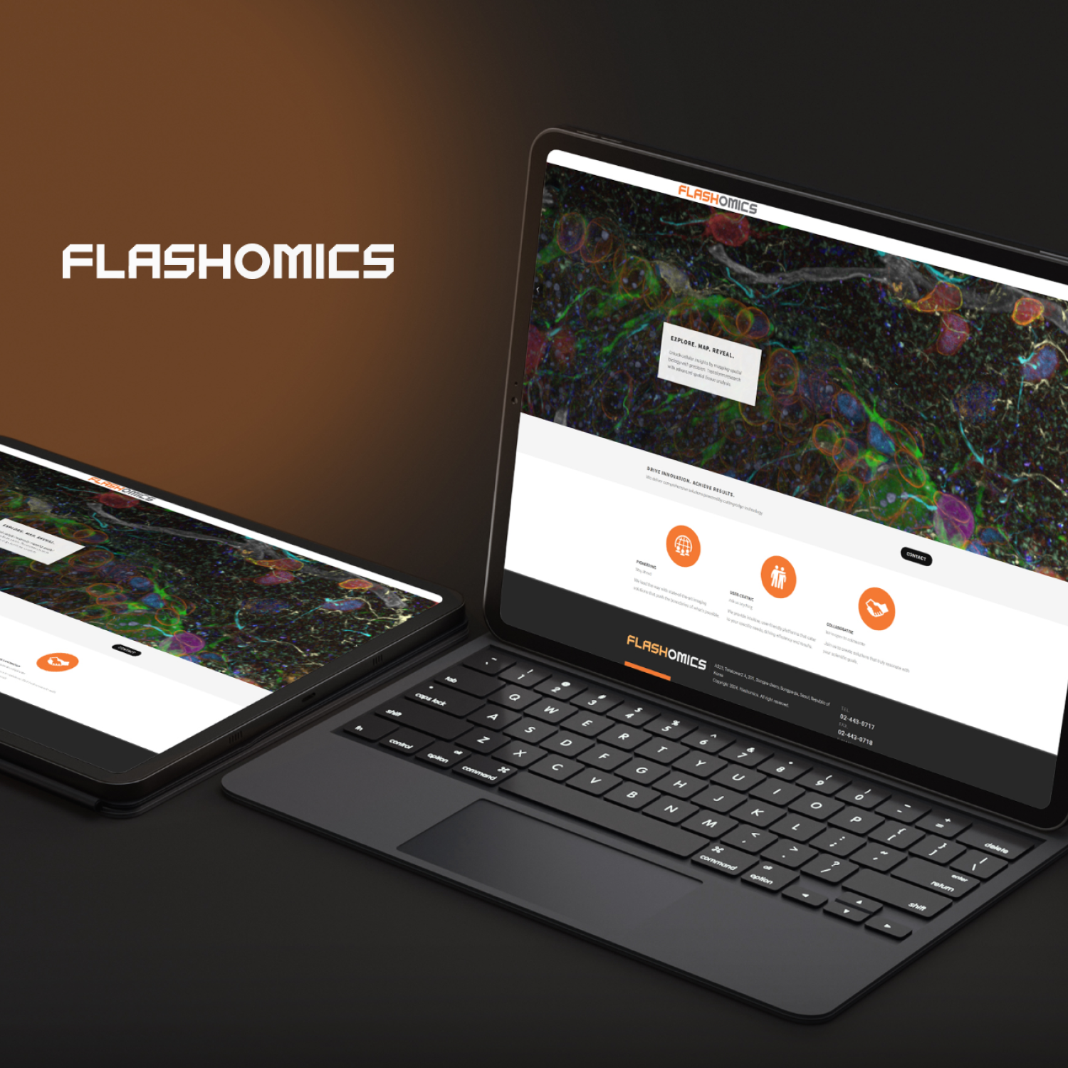 플래시오믹스 홈페이지제작