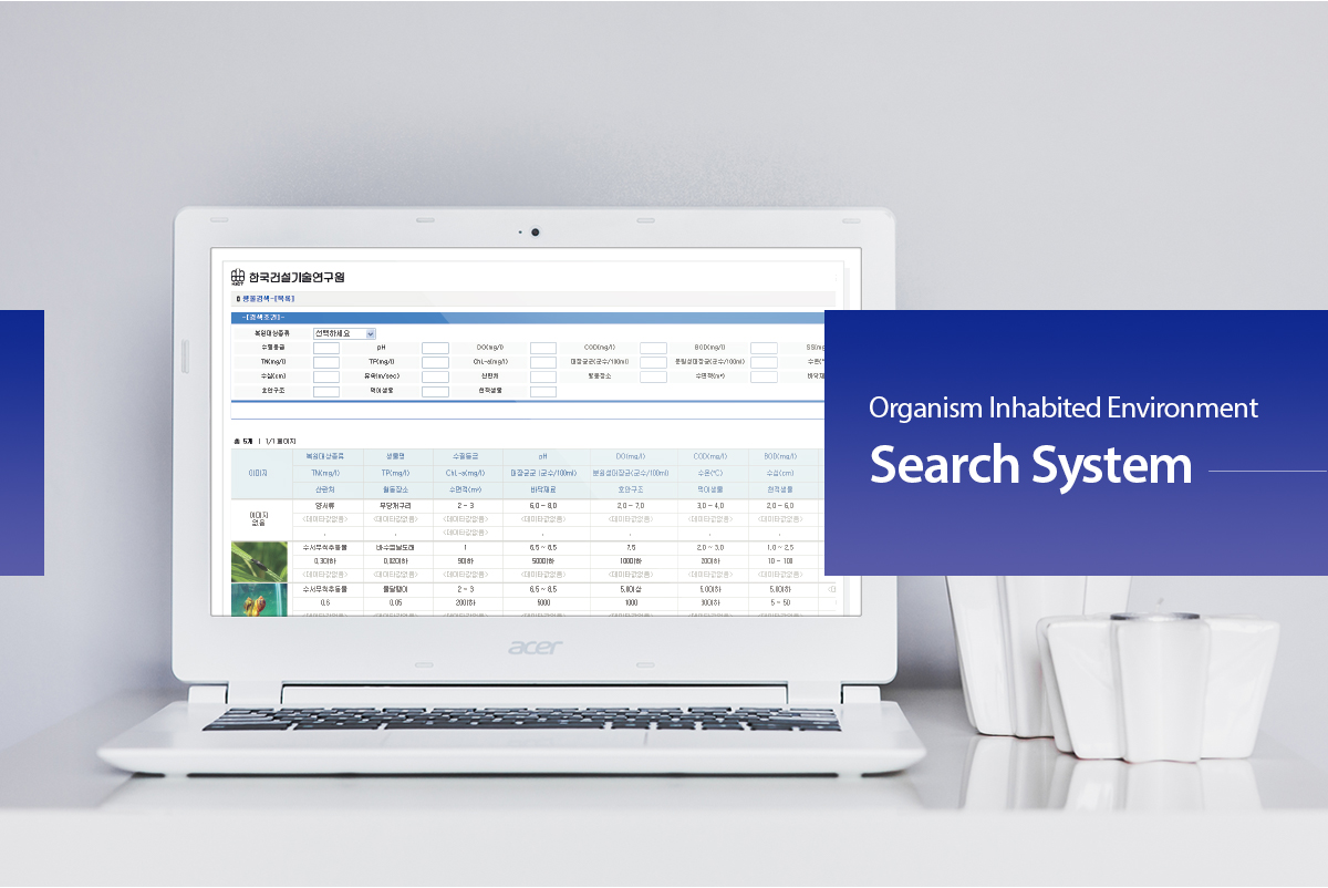 한국건설기술연구원 프로그램개발