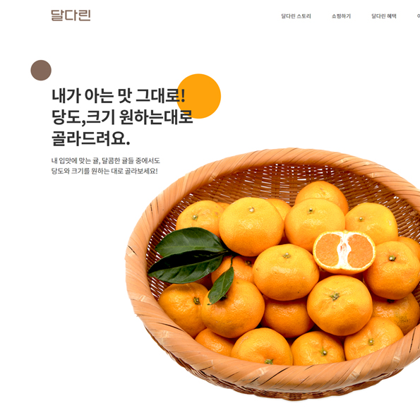 달다린_ 쇼핑몰 쇼핑몰제작